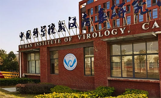 Bioterror: Senate told of ‘dangerous gain-of-function research’ on non-Covid virus at Wuhan lab